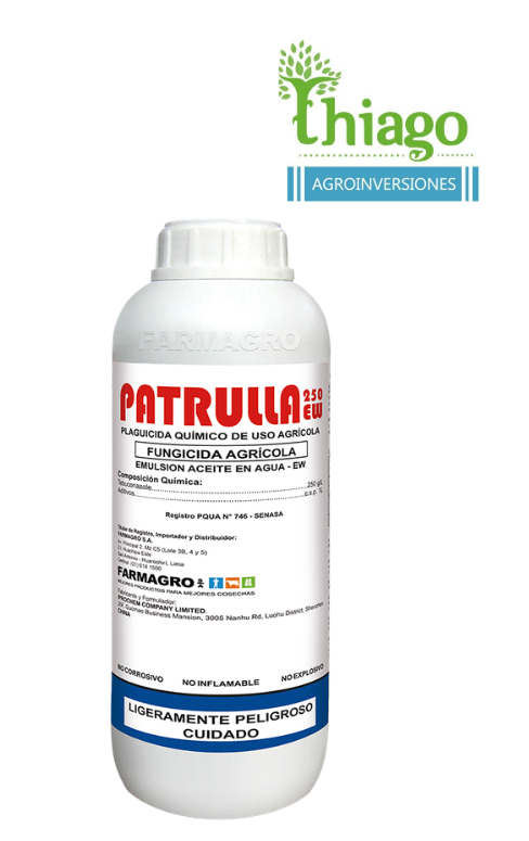 PATRULLA 250 EW X LT 