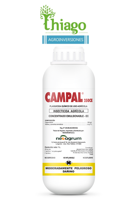 CAMPAL 250 EC X LT