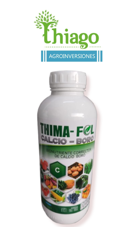 THIMA - FOL CALCIO-BORO X LT