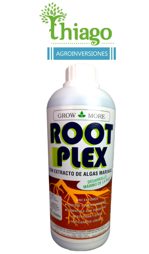 Sugerencia: ROOT PLEX X LT 