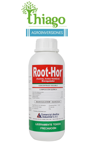ROOT - HOR X LT