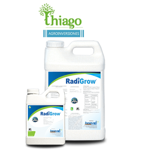 RADIGROW XL X LT 