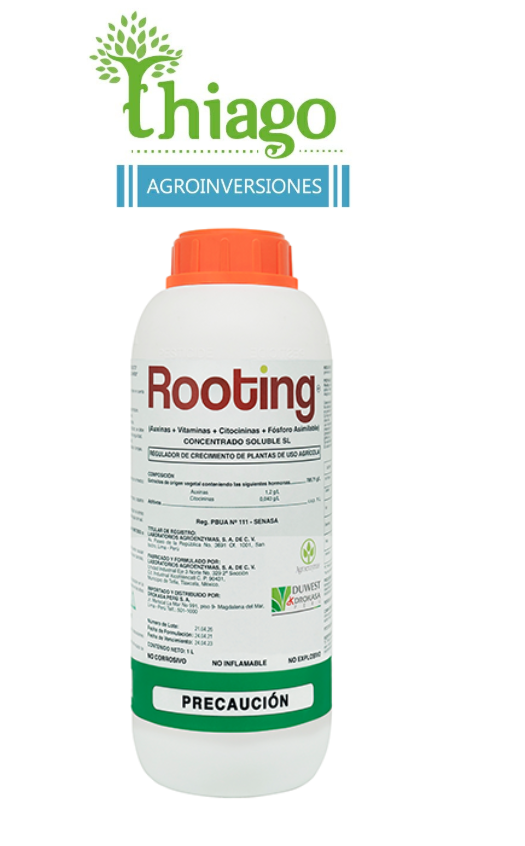 Sugerencia: ROOTING X LT