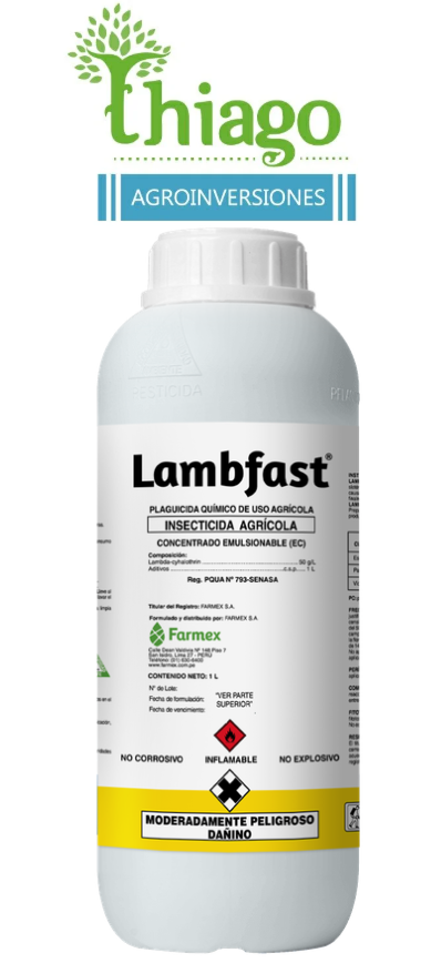 Sugerencia: LAMBFAST X LT 