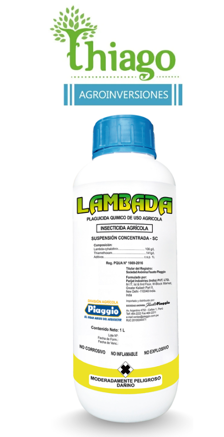 Sugerencia: LAMBADA X LT 