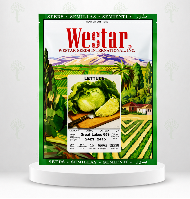 SEMILLA DE LECHUGA GREAT LAKES 659 X 500 GR 