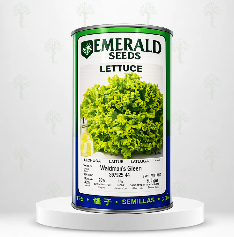 SEMILLA DE LECHUGA WALDMAN´S GIEEN X 500 GR