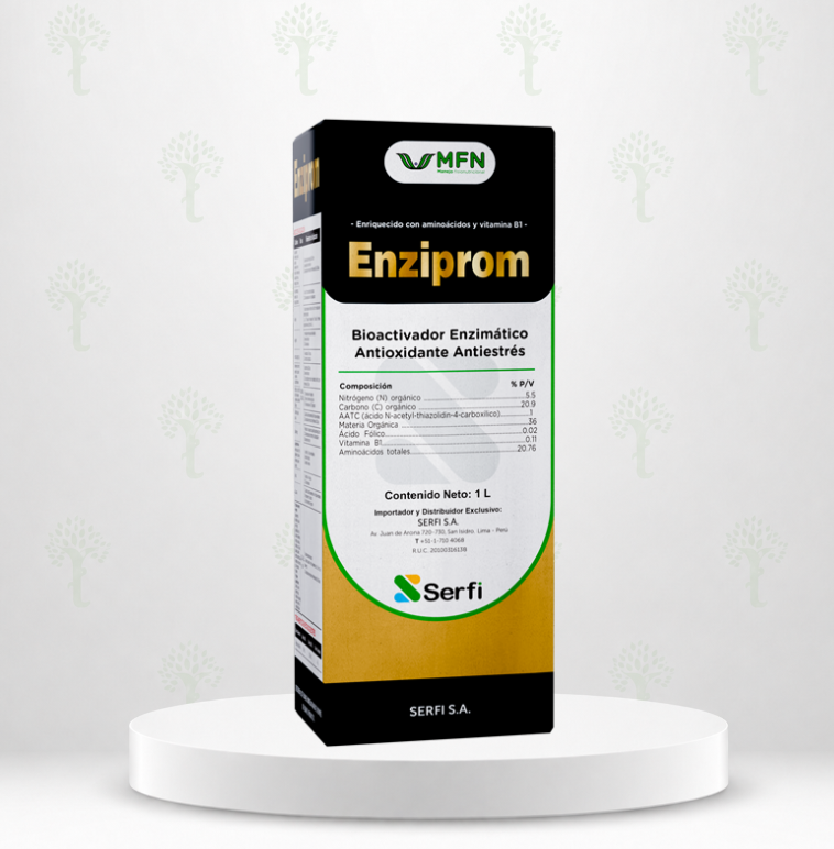 ENZIPROM X LT 