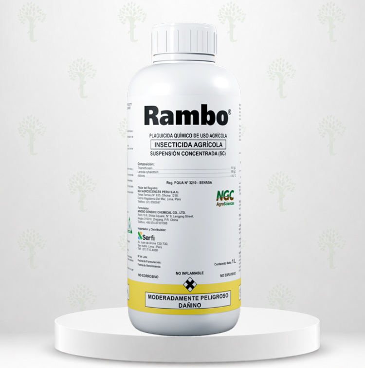 RAMBO X LT
